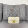 6930ac6d6e68136f4d9ace86 CELINE Brand New Triomphe Arc de Triomphe Underarm Bag, Limited Spring-Summer Edition