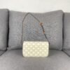 6930ac6f6e68136f4d9ace88 CELINE Brand New Triomphe Arc de Triomphe Underarm Bag, Limited Spring-Summer Edition