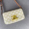6930ac6f6e68136f4d9ace8a CELINE Brand New Triomphe Arc de Triomphe Underarm Bag, Limited Spring-Summer Edition