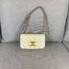 6930ac706e68136f4d9ace8b CELINE Brand New Triomphe Arc de Triomphe Underarm Bag, Limited Spring-Summer Edition
