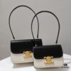Celine Latest Model