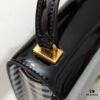 6930ad766e68136f4d9ad08a Celine 2024 Autumn/Winter New Arrival GARANCE – Timeless Elegance in Glossy Cowhide Leather
