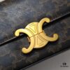 6930ada36e68136f4d9ad0f2 Top Quality Original Celine Triomphe Classic Crossbody Bag