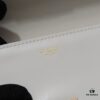 6930adbc6e68136f4d9ad129 Top Quality Original Celine Triomphe Classic Crossbody Bag