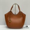 6930addb6e68136f4d9ad16a Celine New Arrival Tote Alice Hobo - A Perfect Blend of Retro and Modern Elegance