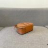 Celine New Logo Print Half-Moon Mini Bag, Upgraded Version Released