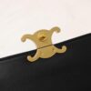 6930ae256e68136f4d9ad1f1 Celine Latest Style TEEN LOLA Shiny Calf Leather Handbag