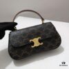 Celine TEEN LOLA Shiny Cowhide Leather Handbag Latest Version