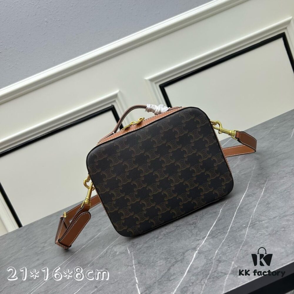 6930ae5f6e68136f4d9ad25e Celine TRIOMPHE Print Camera Bag