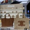 6930aee06e68136f4d9ad31b CELINE Cabas Shopping Tote Bag – Compact Size, Spacious and Stylish