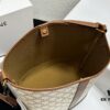 6930af446e68136f4d9ad3c7 Celine Large Triomphe Canvas Nano Bucket Bag with Signature Print