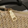 Prada Woven Hobo Bag with Box