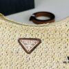 6930c1d66e68136f4d9af308 Prada Summer Woven Hobo Bag with Box