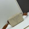 6930c23c6e68136f4d9af385 Prada-style Raffia Camera Bag - Embrace the Last Days of Summer