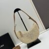 6930c2526e68136f4d9af39b Prada Woven Hobo Bag with Box