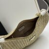 6930c2956e68136f4d9af3df Prada Woven Hobo Bag with Box
