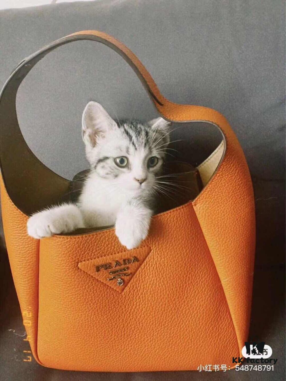 6930c2986e68136f4d9af3e2 Prada Latest Tote Bag with Box ✅ Made from Genuine Italian Natural Pebbled Calfskin 💯