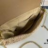New YSL Raffia Woven Fringe Bag - Kate Model