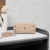 6930cc1a6e68136f4d9b0454 New Arrival Suede Plain YSL Kate Chain Bag – Rose's Street Style Pick