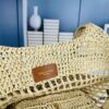 New Arrival Small YSL Icare Raffia Bag with Mini Pouch