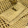 6930cd1d6e68136f4d9b05fa New Large YSL Raffia ICARE Bag with Mini Compartment
