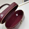 6930d05f6e68136f4d9b0b4f New Mini Gaby Bag with Box – YSL GABY Mini Pouch Exudes Stylish Charm