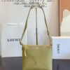 LOEWE Luna Bag with Gift Box 🎁