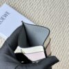 6930d8526e68136f4d9b172e Loewe New Arrival Card Holder Restock!