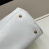Small, Large Balenciaga 2025 Ceiling Belair Carry All in Mini and Regular Sizes