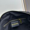 6930db3b6e68136f4d9b1aff Small Size Balenciaga New Camera Bag with Box