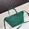 Celine Triumph Tote Bag