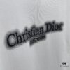 6931a013ccd8ab3d7af93d2b Christian Dior 2025 FW Spring/Summer New Arrival Round Neck T-Shirt for Layering or Outerwear, Embossed Logo Micro Oversized Short-Sleeve 260g Active Cotton Tee