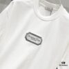 6931a018ccd8ab3d7af93d8e DIOR 320g Crew Neck Short Sleeve T-Shirt with Classic CD Silver Logo Embroidery