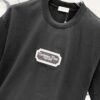6931a019ccd8ab3d7af93d9b DIOR 320g Crew Neck Short Sleeve T-Shirt with Classic CD Silver Logo Embroidery