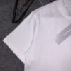 DIOR Short-Sleeve T-Shirt with Embroidery