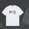 6931a01eccd8ab3d7af93dcf DIOR Logo Print Heavyweight T-Shirt 320g
