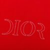 Dior Dior (Embroidered Top Version, Different from Regular Stock)
