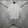 6931a053ccd8ab3d7af94174 Dior 25SS New Arrival Polo Shirt from the DIOR AND HYLTON NEL Collaboration Collection