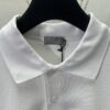 6931a053ccd8ab3d7af94175 Dior 25SS New Arrival Polo Shirt from the DIOR AND HYLTON NEL Collaboration Collection