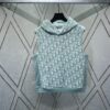 6931a05dccd8ab3d7af9423f Dior 24SS New Arrival Sleeveless Hooded Sweatshirt from the 2024 Beachwear Capsule Collection, Featuring the Iconic Oblique Print