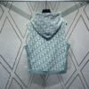6931a05dccd8ab3d7af94240 Dior 24SS New Arrival Sleeveless Hooded Sweatshirt from the 2024 Beachwear Capsule Collection, Featuring the Iconic Oblique Print