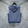 6931a05eccd8ab3d7af94249 Dior 24SS New Arrival Sleeveless Hooded Sweatshirt from the 2024 Beachwear Capsule Collection, Featuring the Iconic Oblique Print