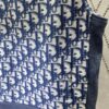 6931a05eccd8ab3d7af9424c Dior 24SS New Arrival Sleeveless Hooded Sweatshirt from the 2024 Beachwear Capsule Collection, Featuring the Iconic Oblique Print