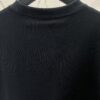 Dior 25SS Spring Collection Limited Edition Snake Year Embroidered Letter Short Sleeve T-Shirt Unisex