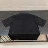 6931a064ccd8ab3d7af942d4 DIOR 2025 Year of the Snake Limited Edition Embroidered Snake Short Sleeve T-Shirt