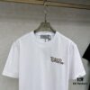 6931a07eccd8ab3d7af944ce DIOR Snake Embroidery Design Cotton Woven Shirt