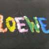 6931a0a4ccd8ab3d7af947b7 LOEWE New Arrival Towel Embroidery T-Shirt, High-Quality 280g Double-Yarn Cotton Fabric, Soft and Comfortable Wear, Heavyweight Smooth Cotton Washed Feel, Premium Front Letter Towel Embroidery with Special Craftsmanship, Custom Dyeing, Full Branding, Not Ordinary Market Version