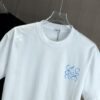 6931a0a6ccd8ab3d7af947d7 LOEW Loewe 2025 Spring/Summer New Arrival Round Neck Short Sleeve Hand-painted Print High Grammage 320g Double-combed Cotton Fabric Slightly Loose Fit Unisex