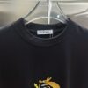 6931a0adccd8ab3d7af9486f Loewe Embroidered Short Sleeve T-Shirt (Top Quality Version, Distinct from Standard)