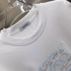 6931a0afccd8ab3d7af9488b Loewe Embroidery Premium Version Short Sleeve T-Shirt (Unisex Design)